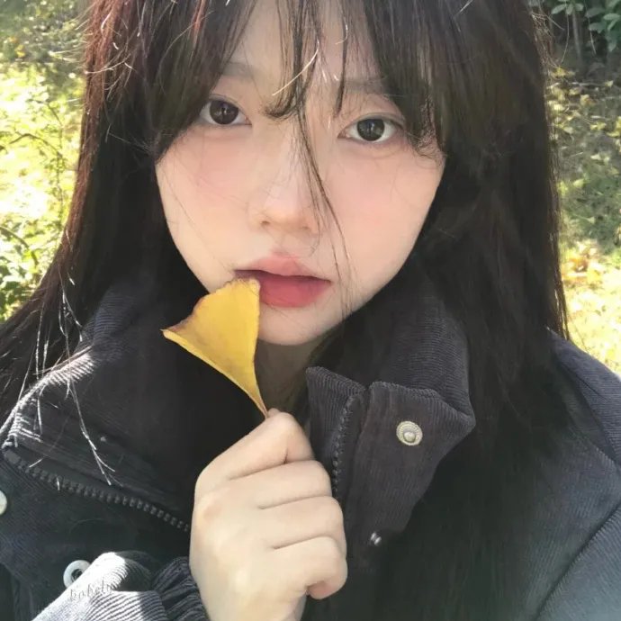 半妖的夜叉姬第二季