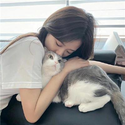 台北女子图鉴